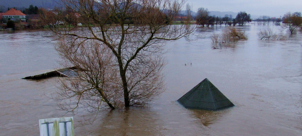 Weather Woes: How Wildfires, Floods, and Hurricanes Are Changing Our Lives